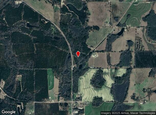 9 S State Highway 167, Hartford, AL Parcel Map