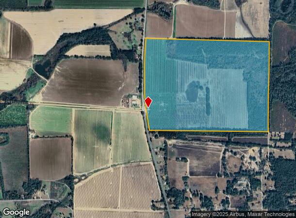  1009 Cool Springs Rd, Bainbridge, GA Parcel Map