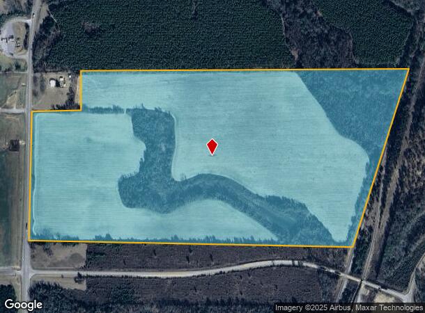 S State Route 49 Rd, Oglethorpe, GA Parcel Map