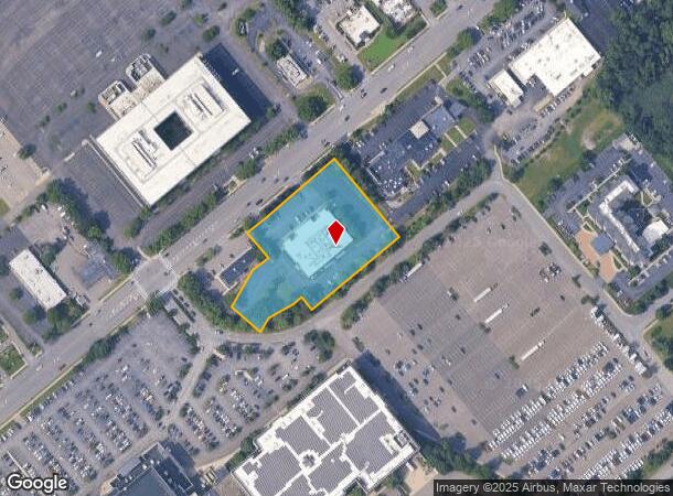 59 Wolf Rd, Albany, NY Parcel Map