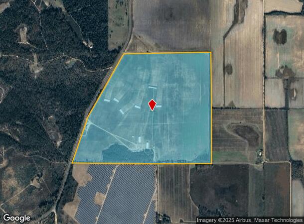 407 Ed Davis Rd, Butler, GA Parcel Map