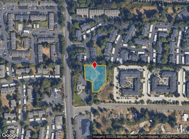  113 27Th Ave Se, Puyallup, WA Parcel Map