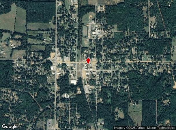 302 E Palmetto Ave, Plain Dealing, LA Parcel Map