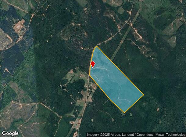  Marion-Ripley Rd, Dry Branch, GA Parcel Map