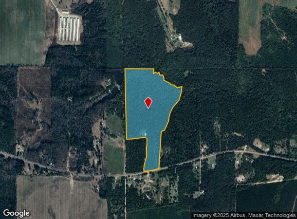  807 Ga Highway 26 E, Elko, GA Parcel Map