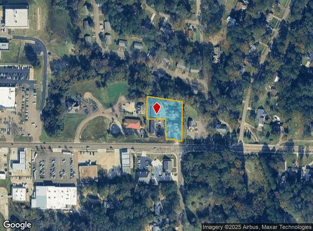 309A E Government St, Brandon, MS Parcel Map