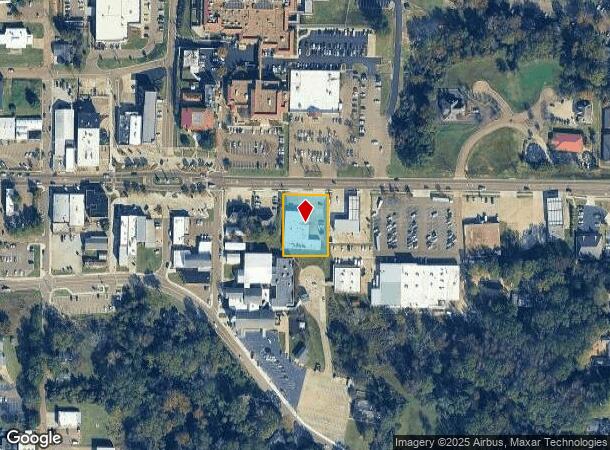  204 E Government St, Brandon, MS Parcel Map