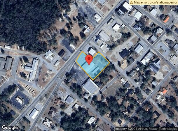  133 W Brazell St, Reidsville, GA Parcel Map