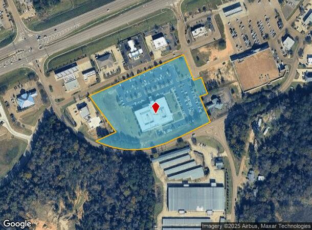  1010 Lakeland Pl, Flowood, MS Parcel Map