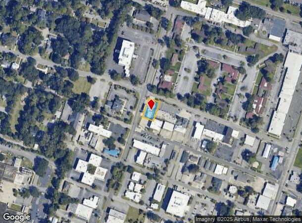  4906 Paulsen St, Savannah, GA Parcel Map