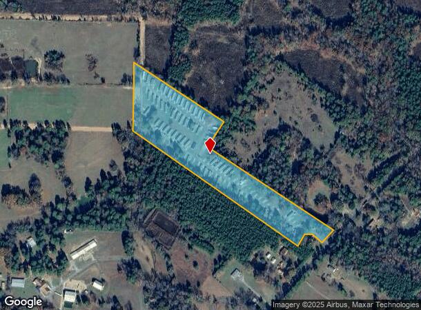 9690 Highway 79, Bethany, LA Parcel Map
