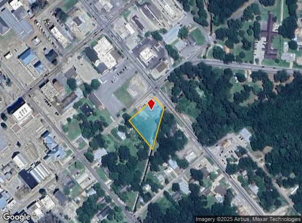  613 Mississippi Dr, Waynesboro, MS Parcel Map