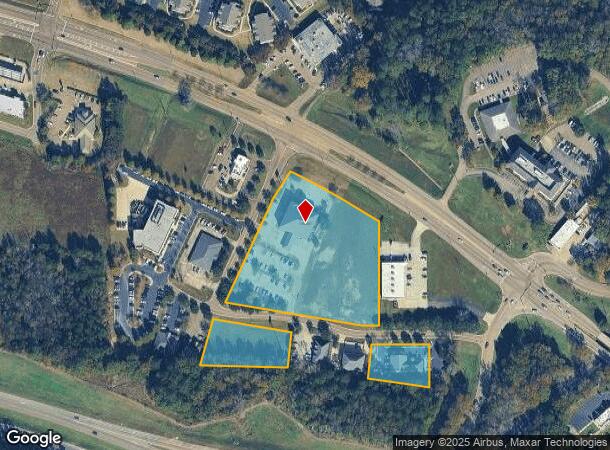  1255 W Government St, Brandon, MS Parcel Map