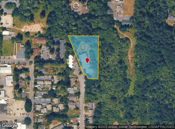 17300 96Th Pl Sw, Vashon, WA Parcel Map
