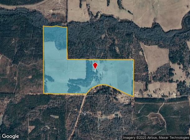 195 Windham Bottom Rd, Reynolds, GA Parcel Map