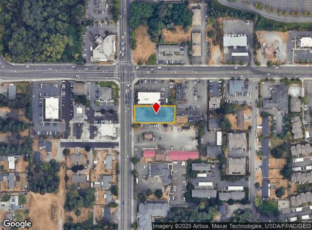 3911 9Th St Sw, Puyallup, WA Parcel Map