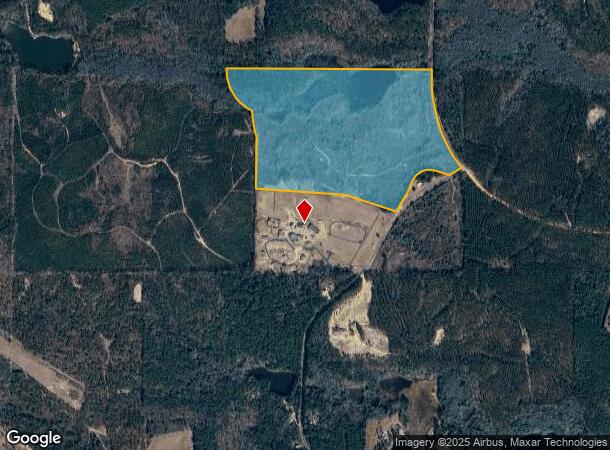 211 Goose Hollow Rd, Reynolds, GA Parcel Map