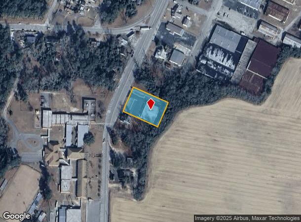 219 Main St S, Wagener, SC Parcel Map