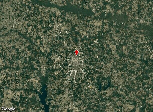  306 E Mims St, Tyler, TX Parcel Map