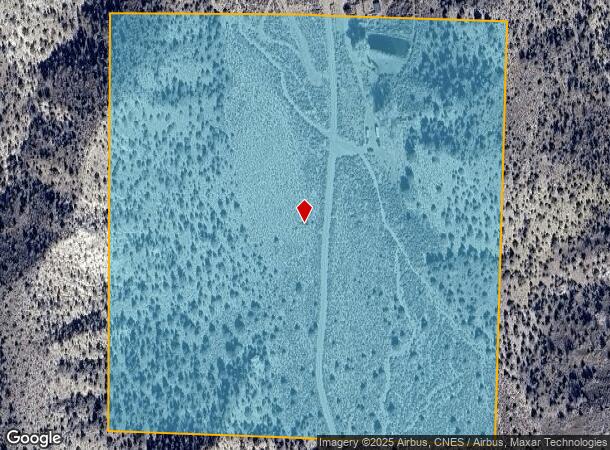  5 Pigeon Springs Rd, Dyer, NV Parcel Map