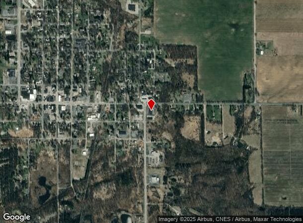 55 S State St, Stanton, MI Parcel Map