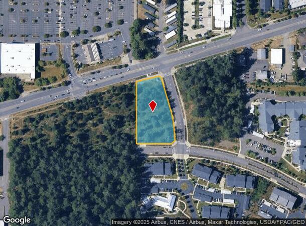 8501 Martin Way E, Lacey, WA Parcel Map
