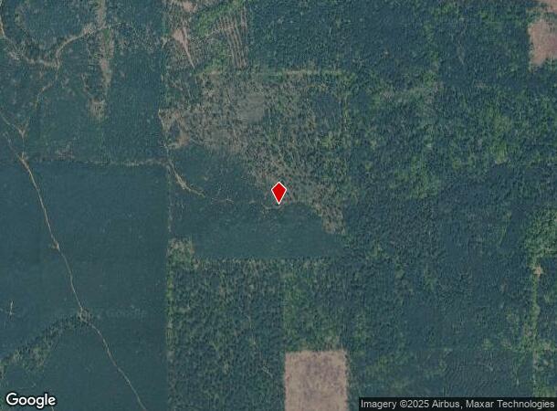 301 Pine St, Rison, AR Parcel Map