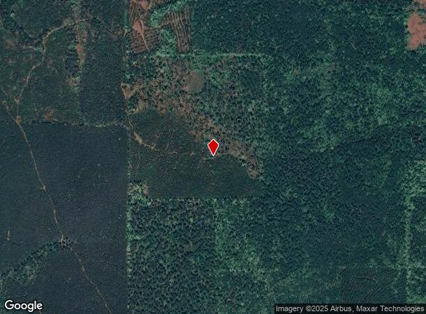 406 S Main St, Rison, AR Parcel Map