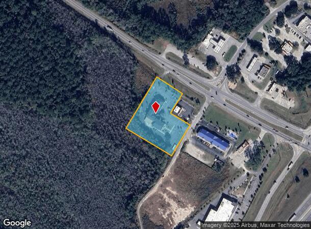 45 Fort Argyle Rd, Savannah, GA Parcel Map
