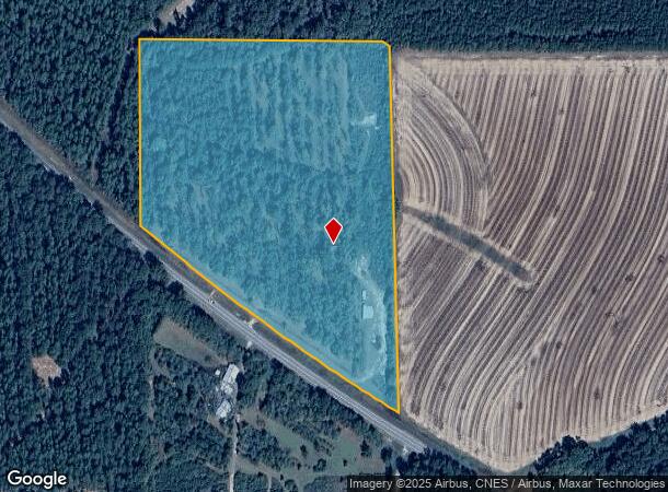 21995 Us Highway 29, Andalusia, AL Parcel Map