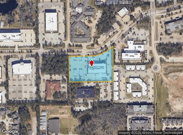 121 Vision Park Blvd, Shenandoah, TX Parcel Map