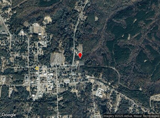  101 W 3Rd Ave, Buena Vista, GA Parcel Map