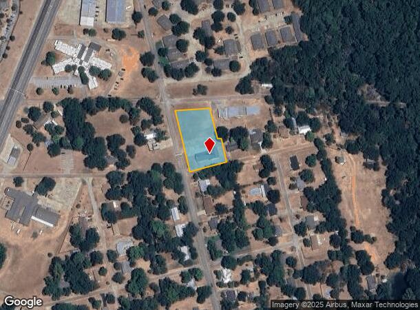  201 Ragland St, Palestine, TX Parcel Map