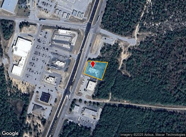 5209 Highway 321, Gaston, SC Parcel Map