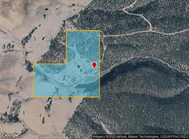 4406 Buckhorn Ranch Rd, Pioche, NV Parcel Map