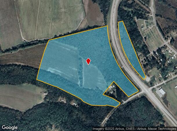 Pendleton Springs Rd, Lyons, GA Parcel Map