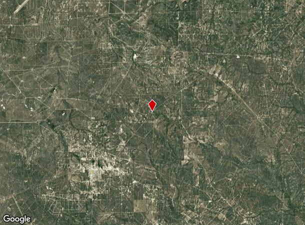 305 N Highway 16 St, Freer, TX Parcel Map