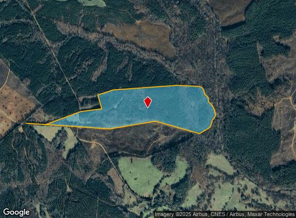  1009 Lee Poss Rd, Rayle, GA Parcel Map